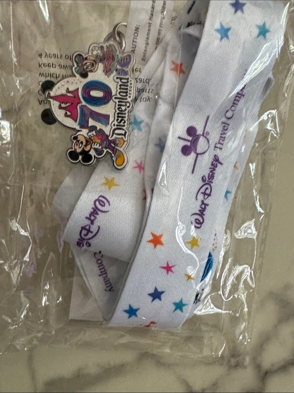 Disneyland 70th Anniversary Lanyard and Pin Set • Pin Trading • Collectible